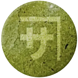 カネサ荻野製茶｜たまちゃ